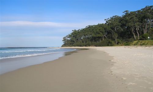 Zdjecie AUSTRALIA / NSW / Ulladulla / Nad oceanem