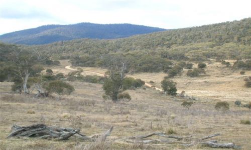 Zdjcie AUSTRALIA / ACT / National park / Droga do Yankee Hut