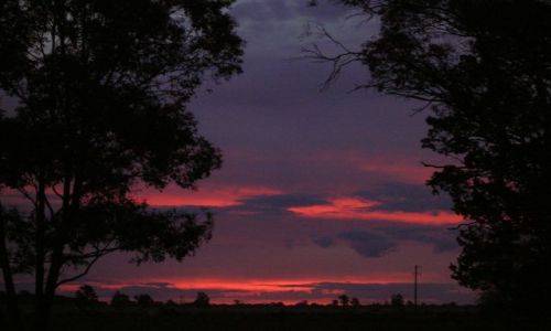 Zdjcie AUSTRALIA / NSW / Temora / Zachod slonca-interia