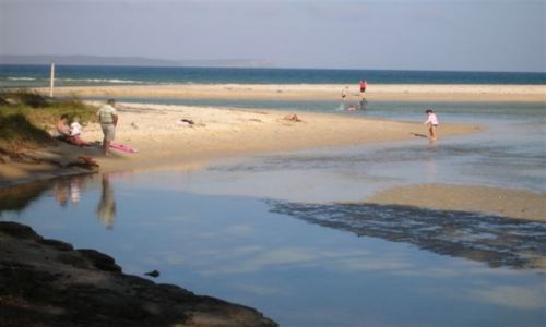 Zdjcie AUSTRALIA / Jarvis Bay / Huskisson / Moona Moona Creek
