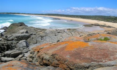 Zdjcie AUSTRALIA / NSW / South Coast / Widok na Pacific