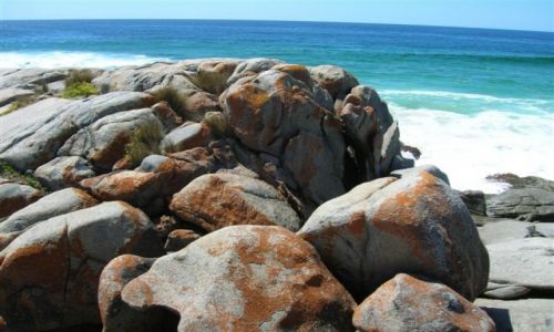 Zdjecie AUSTRALIA / NSW / South Coast / Skaly i ocean