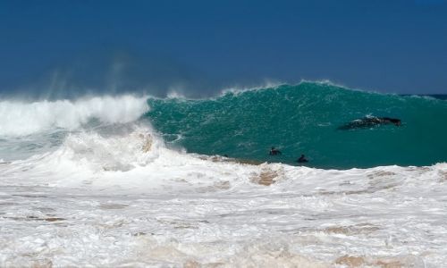 Zdjecie AUSTRALIA / South Australia / Port Eliot / There is something out there