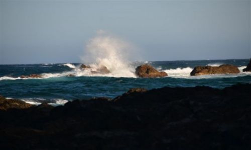 Zdjecie AUSTRALIA / NSW / South Coast / Wielka fala