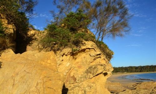 Zdjecie AUSTRALIA / NSW / South Coast / Piaskowa skala nad oceanem