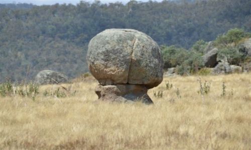 Zdjcie AUSTRALIA / ACT / National Park / Ale grzyb!