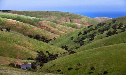 Zdjcie AUSTRALIA / South Australia / Polwysep Fleurieu / marmurkowe wzgorza