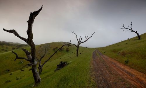 Zdjecie AUSTRALIA / South Australia / Deep Creek / ...