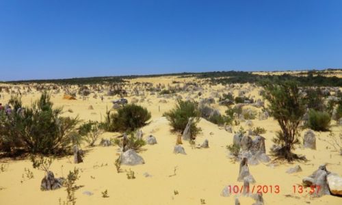 Zdjecie AUSTRALIA / Australia Zachodnia / Park narodowy Nambung k/Perth / ...