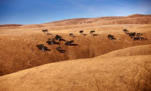 Zdjecie AUSTRALIA / South Australia / Myponga Beach / wzgorza