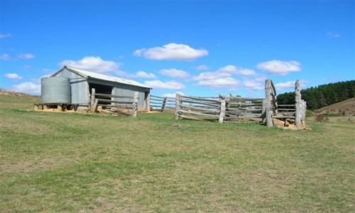 Zdjęcie AUSTRALIA / NSW / Okolice Googong Dam / Stara farma..