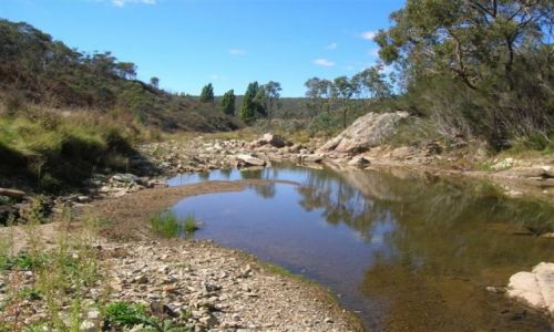 Zdjęcie AUSTRALIA / NSW / Okolice Googong Dam / Strumien, w drodze na stara farme..