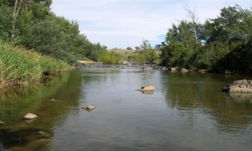 Zdjęcie AUSTRALIA / ACT / Murrumbigi River / Nad rzeka