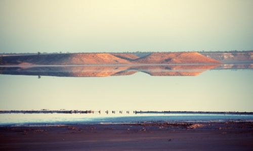 Zdjecie AUSTRALIA / South Australia / Lake Hart / w krainie Wielkich Jezior