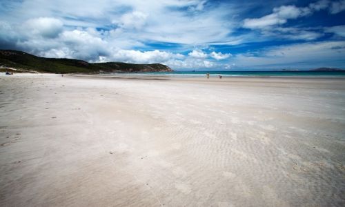 Zdjecie AUSTRALIA / Victoria / Wilson Promontory / ...