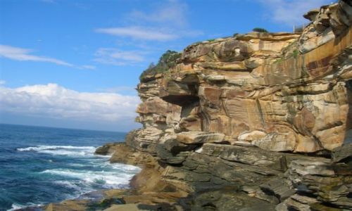 Zdjecie AUSTRALIA / NSW / Sydney / Skaly nad oceanem..