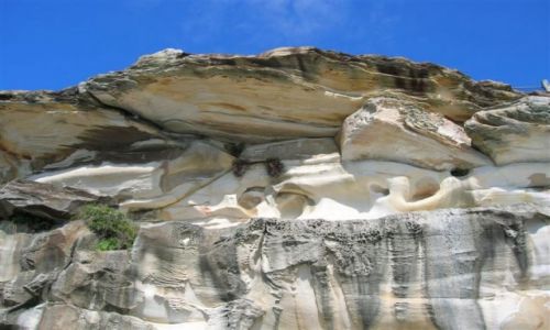 Zdjecie AUSTRALIA / Sydney / Bronte / Skaly przy Bronte beach..