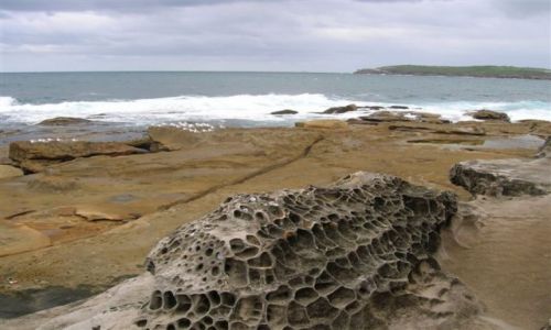 Zdjęcie AUSTRALIA / Sydney / marubra / Marubra Beach i mewy