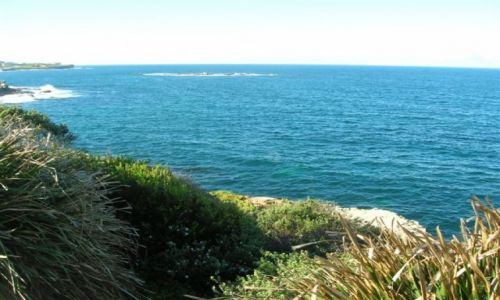 Zdjęcie AUSTRALIA / Sydney / Coogee / W oddali -Weding cake  island