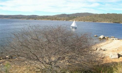 Zdjęcie AUSTRALIA / NSW / Jezioro w Jindabyne, Gory Sniezne / Zagloweczka w Jindabyne