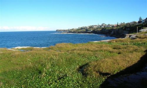 Zdjęcie AUSTRALIA / Sydney / Coogee / Widok na Googee, dzielnice Sydney