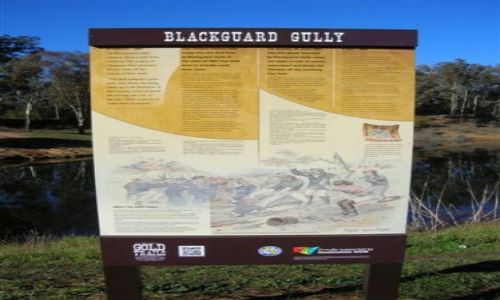 Zdjęcie AUSTRALIA / NSW / Young-miasto / Bunt w kopalni zlota..