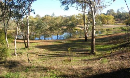 Zdjęcie AUSTRALIA / NSW / Young / Rezerwat -zlotonosne tereny