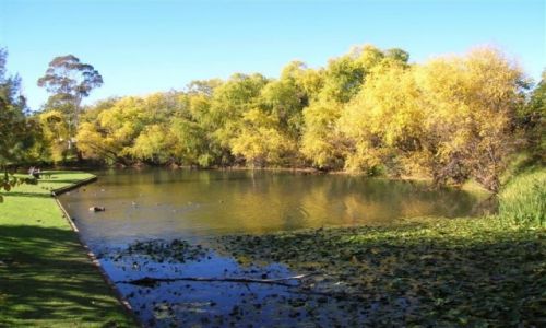 Zdjęcie AUSTRALIA / NSW / Young-miasto czeresni / Young-miasto w interia