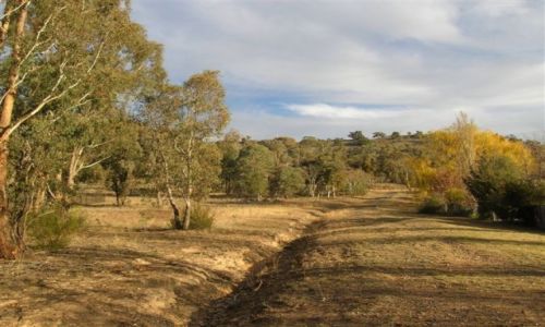 Zdjecie AUSTRALIA / ACT / w gorach.. / Zimowy spacer..