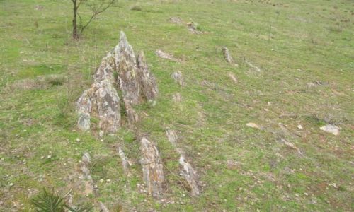 Zdjęcie AUSTRALIA / NSW / Okolice Burra / Skalki rosnace pionowo