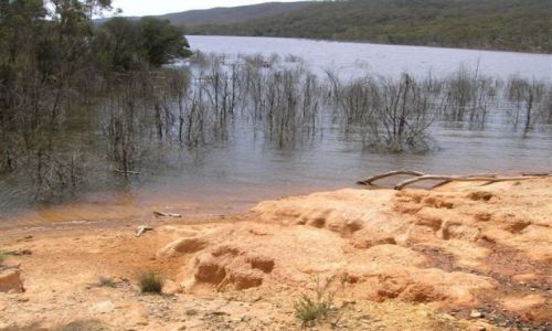 Zdjęcie AUSTRALIA / NSW / Okolice Burra / Jezioro w buszu