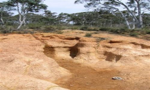 Zdjęcie AUSTRALIA / NSW / Okolice Burra / Erozja gleby