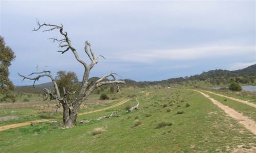 Zdjęcie AUSTRALIA / NSW / Okolice Burra / To juz koniec..