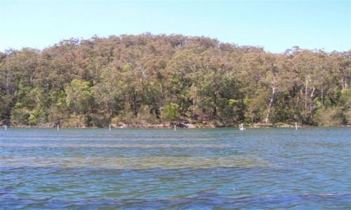 Zdjęcie AUSTRALIA / Nsw / Gulaga Nat. Park / Widok na zatoke..