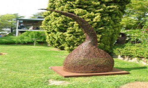 Zdjcie AUSTRALIA / ACT / Tharwa / Rzezby w parku..