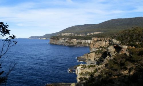Zdjecie AUSTRALIA / Tasmania / Okolice Hobart / Tasmania