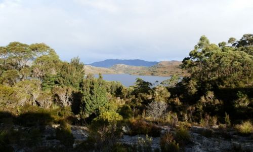 Zdjęcie AUSTRALIA / Tasmania / Interior / Tasmanska przestrzeń
