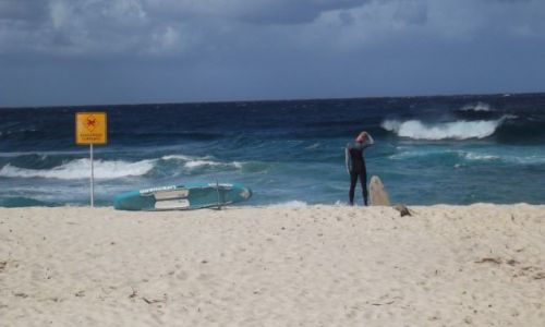 Zdjecie AUSTRALIA / Sydney / Bronte Beach / To surf or not to surf