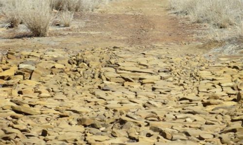 Zdjęcie AUSTRALIA / NSW / Outback / Susza..