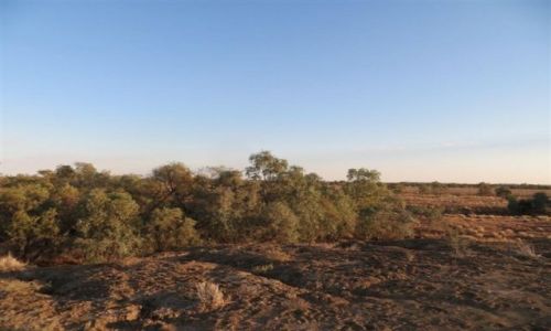 Zdjęcie AUSTRALIA / NSW / Outback / Outback..