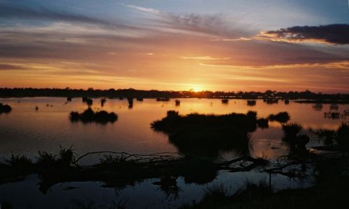 Zdjęcie AUSTRALIA / Victoria / Sale / Świt na mokradłach w