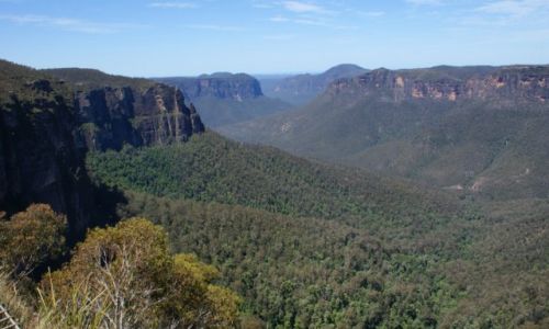 Zdjecie AUSTRALIA / New South Wales / Blue Mountains / Gry Bkitne