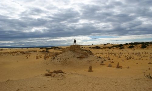 AUSTRALIA / Zachodnia Australia / Pinnacles / Pinnacles