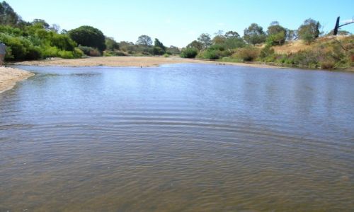 Zdjcie AUSTRALIA / ACT / Tharwa / Susza-rzeka wysycha