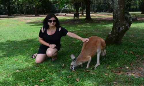 Zdjecie AUSTRALIA / Queensland / Brisbane / Kangoo