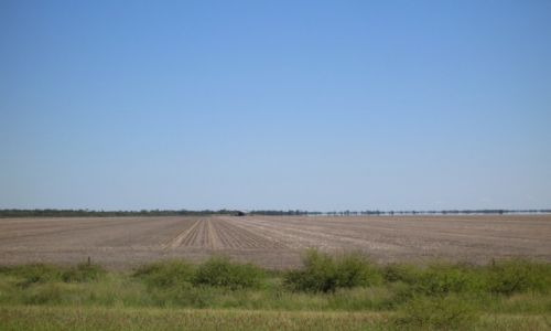 Zdjcie AUSTRALIA / Outback wschodni / Moree / Pustka na outbacku