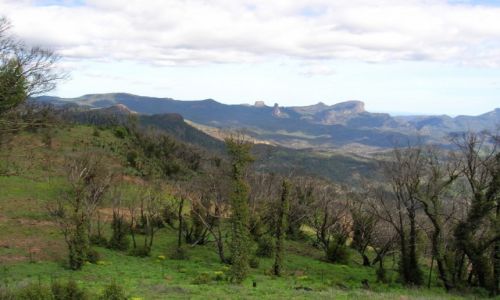 Zdjcie AUSTRALIA / outback wschodni / Warumbungle / Warrumbungle National Park 