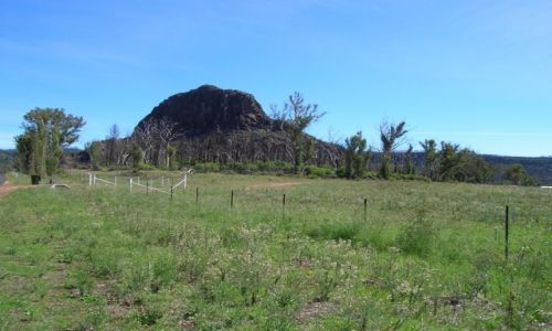 Zdjcie AUSTRALIA / Outback wschodni / Warrumbungle / Wjazd do parku