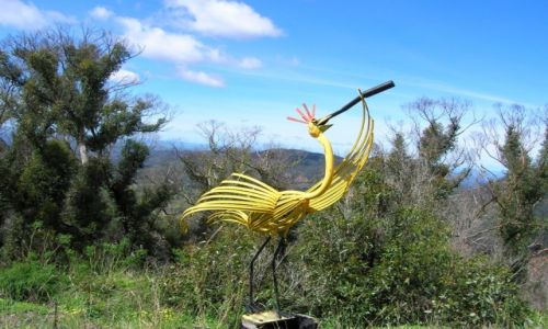 Zdjcie AUSTRALIA / Outback wschodni / Warrumbungle / Kurczak z gor-Happy Easter!