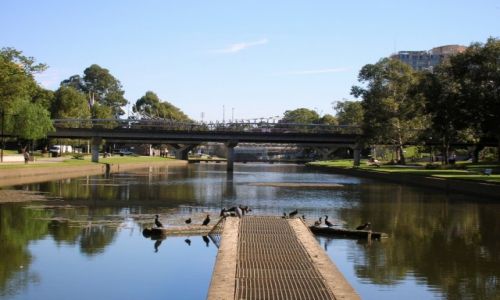 Zdjcie AUSTRALIA / Sydney / Zachodnie Sydney / Paramatta River
